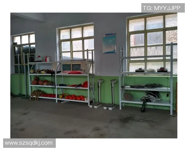 学校体育器材使用登记表的均衡检收与管理策略探讨